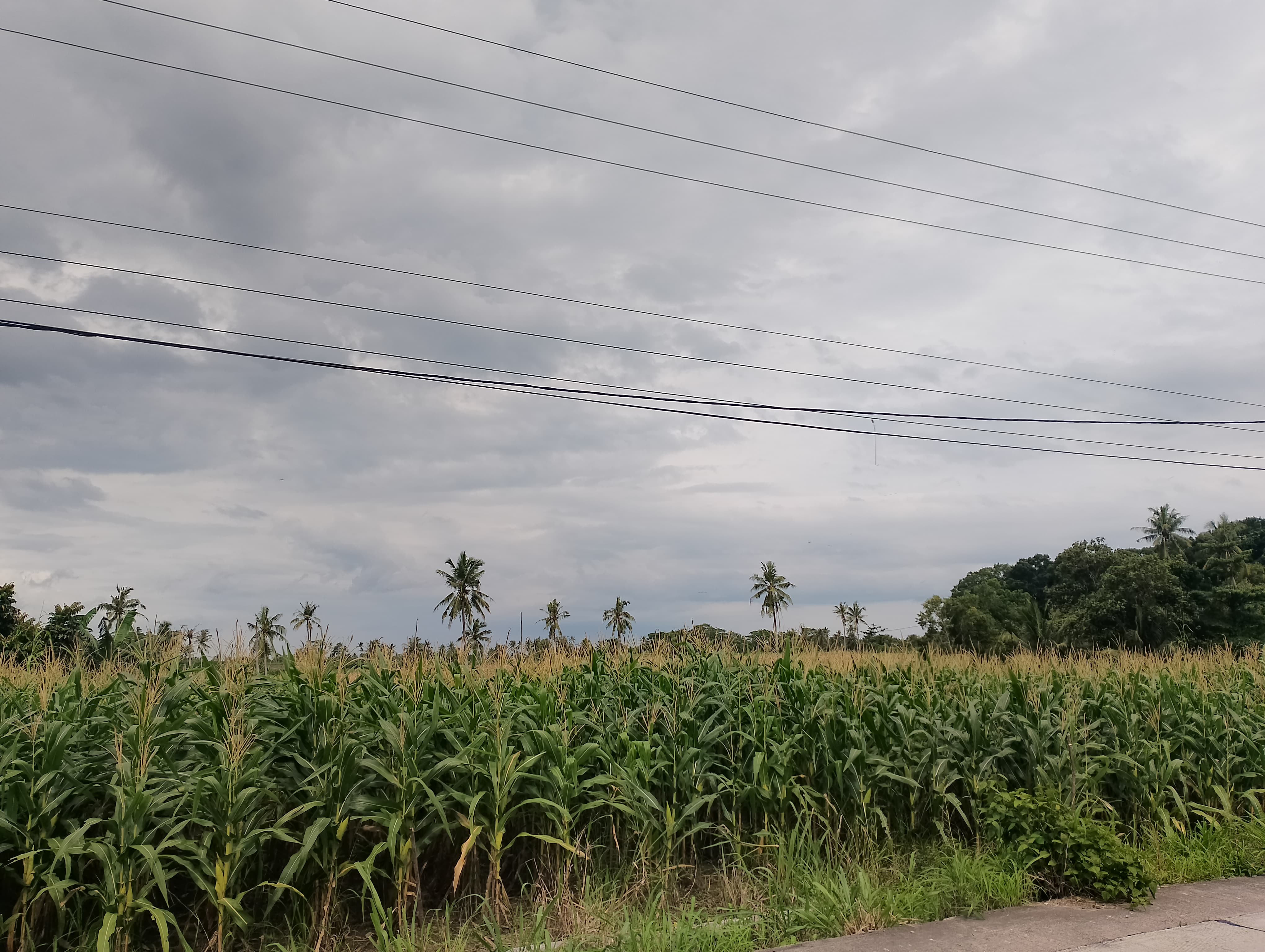 Image Potensi Desa