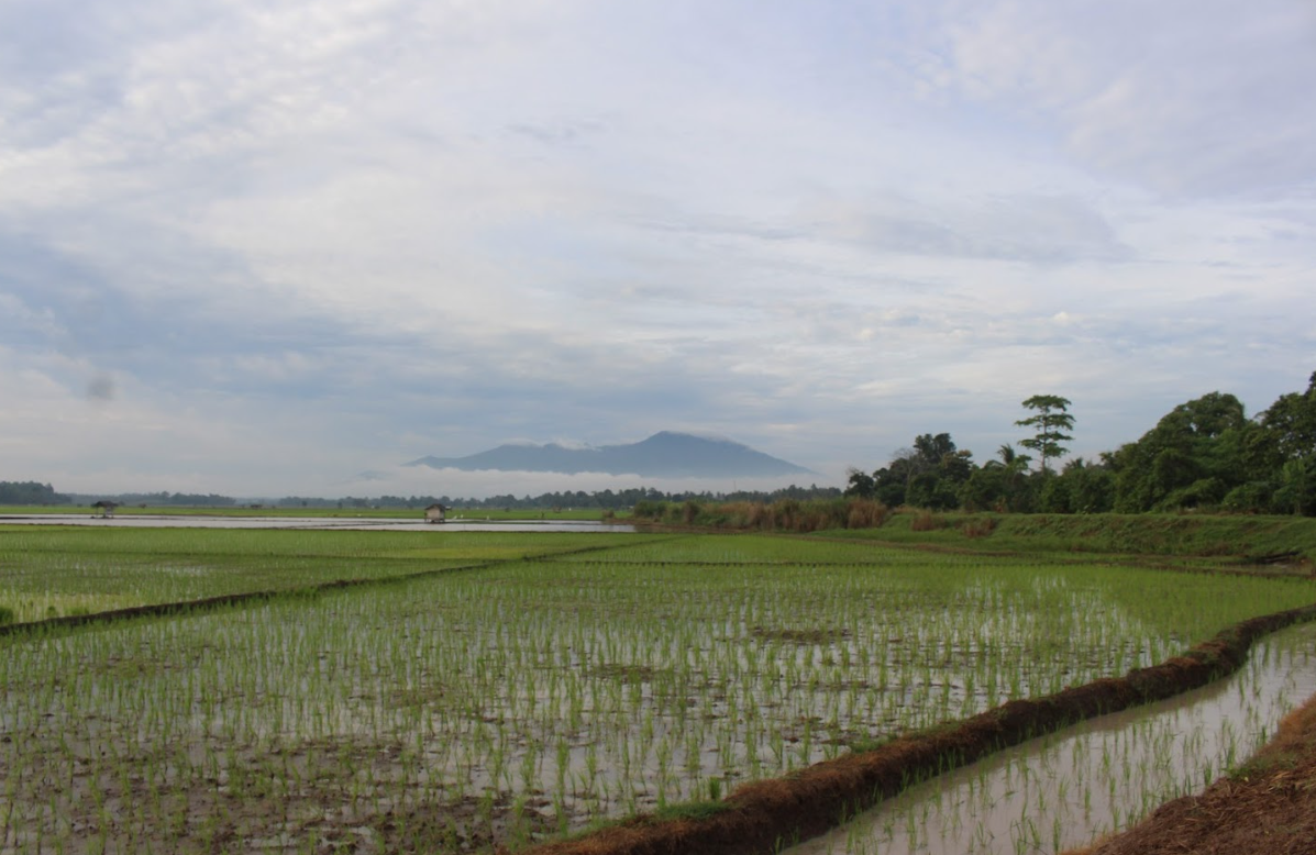 Image Potensi Desa